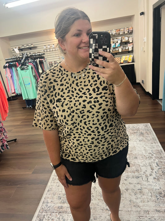 Leopard Knit Top